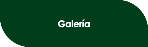 Galería