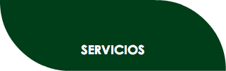 SERVICIOS