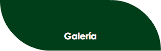 Galería