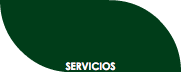 SERVICIOS