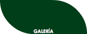 GALERÍA