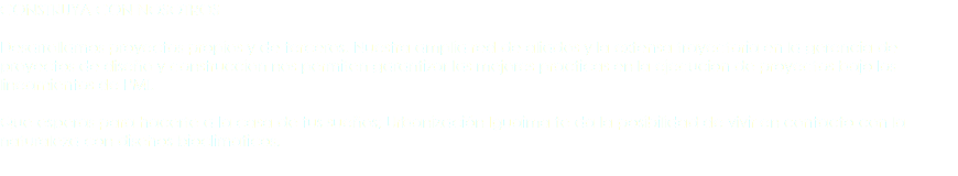 CONSTRUYA CON NOSOTROS Desarrollamos proyectos propios y de terceros. Nuestra amplia red de aliados y la extensa trayectoria en la gerencia de proyectos de diseño y construccion nos permiten garantizar las mejores practicas en la ejecucion de proyectos bajo los lineamientos de PMI. Que esperas para hacerte a la casa de tus sueños; Urbanización Iguaima te da la posibilidad de vivir en contacto con la naturaleza con diseños bioclimaticos.