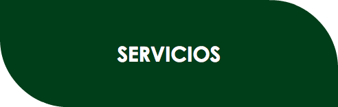 SERVICIOS